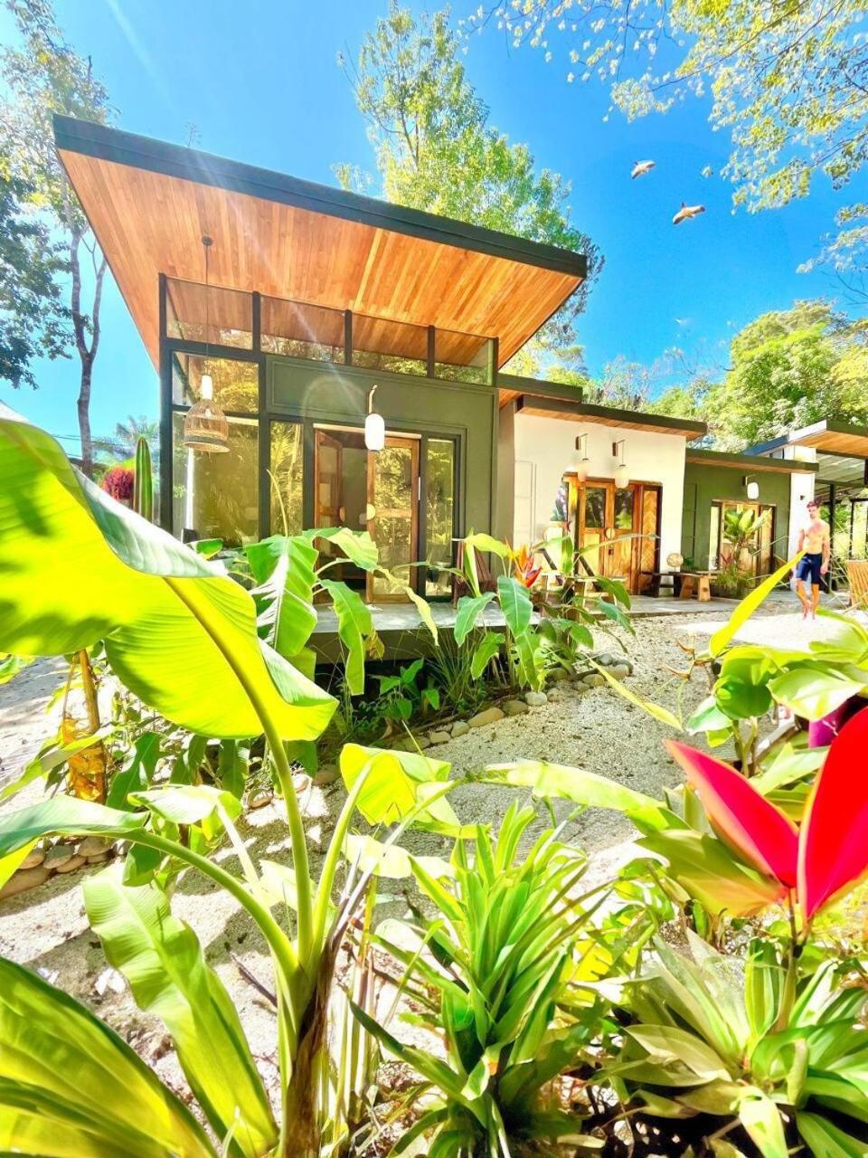 Ikiru House Villa Playa Santa Teresa  Eksteriør bilde